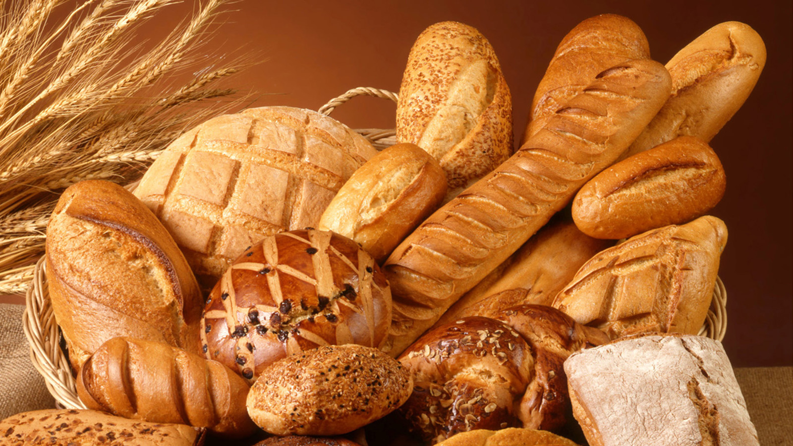 Panadería artesana. Masa madre